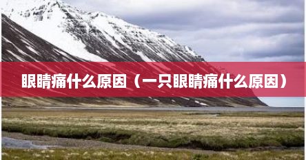 眼睛痛什么原因（一只眼睛痛什么原因）