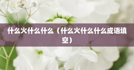 什么火什么什么（什么火什么什么成语填空）