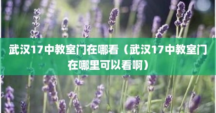 武汉十七中初中部（武汉17高中）