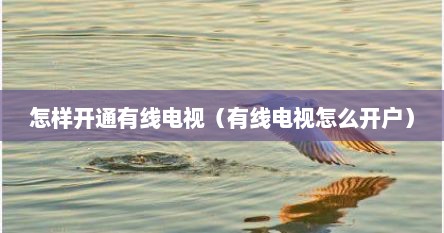 怎样开通有线电视（有线电视怎么开户）