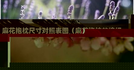 麻花抱枕尺寸对照表图（麻花抱枕的编织视频）