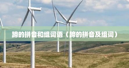 蹄的拼音和组词语（蹄的拼音及组词）