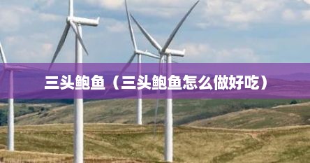 三头鲍鱼的做法大全家常（三头鲍鱼图片）