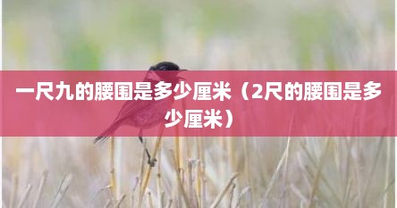 一尺九的腰围是多少厘米（2尺的腰围是多少厘米）
