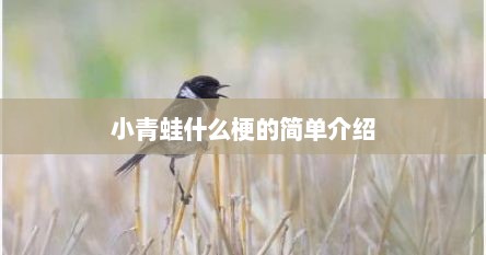 小青蛙什么梗的简单介绍
