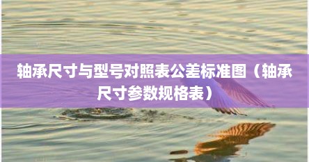 轴承尺寸与型号对照表公差标准图（轴承尺寸参数规格表）