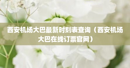 西安机场大巴最新时刻表查询（西安机场大巴在线订票官网）