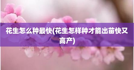 花生怎么种最快(花生怎样种才能出苗快又高产)