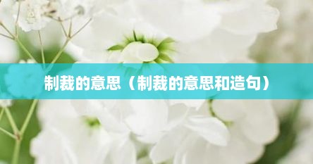 制裁的意思（制裁的意思和造句）