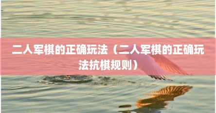 二人军棋的正确玩法（二人军棋的正确玩法抗棋规则）