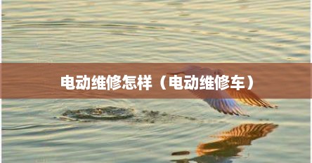 电动维修怎样（电动维修车）