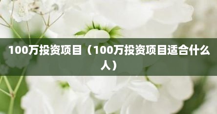 100万投资项日（100万投资项日适合什么人）