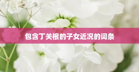 包含丁关根的子女近况的词条