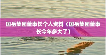 国岳集团董事长个人资料（国岳集团董事长今年多大了）