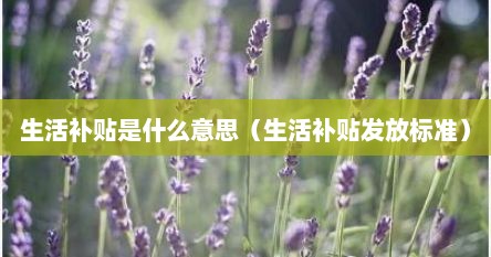 生活补贴是什么意思（生活补贴发放标准）