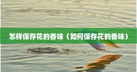 怎样保存花的香味（如何保存花的香味）