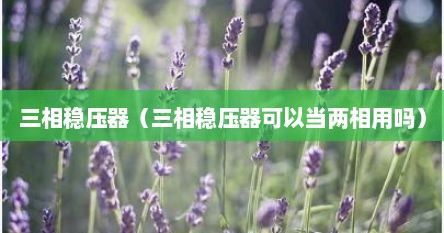 三相稳压器（三相稳压器可以当两相用吗）