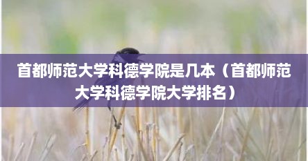 首都师范大学科德学院是几本（首都师范大学科德学院大学排名）