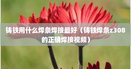 铸铁用什么焊条焊接最好（铸铁焊条z308的正确焊接视频）