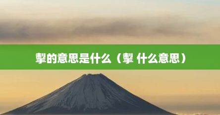 掣的意思是什么（掣 什么意思）