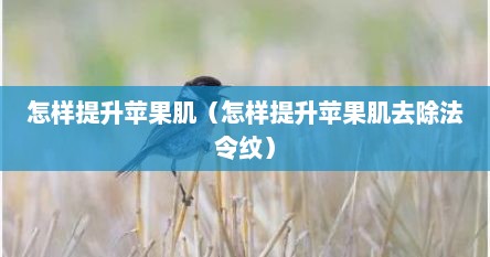 怎样提升苹果肌（怎样提升苹果肌去除法令纹）