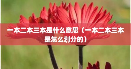 一本二本三本是什么意思（一本二本三本是怎么划分的）