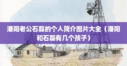 潘阳老公石磊的个人简介图片大全（潘阳和石磊有几个孩子）