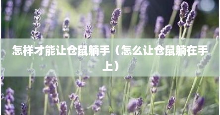 怎样才能让仓鼠躺手（怎么让仓鼠躺在手上）