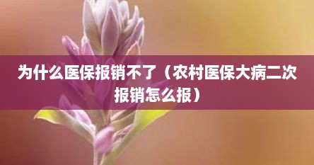 为什么医保报销不了（农村医保大病二次报销怎么报）