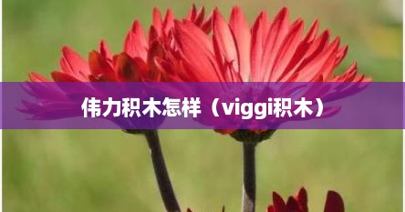 伟力积木怎样（viggi积木）