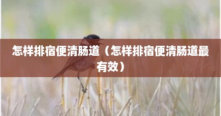 怎样排宿便清肠道（怎样排宿便清肠道最有效）