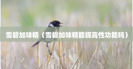 雪碧加味精（雪碧加味精能提高性功能吗）