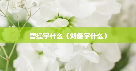 曹操字什么（刘备字什么）