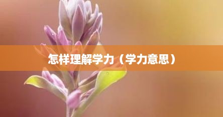 怎样理解学力（学力意思）