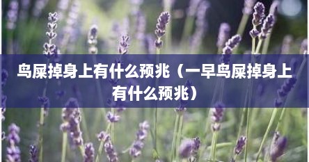 鸟屎掉身上有什么预兆（一早鸟屎掉身上有什么预兆）