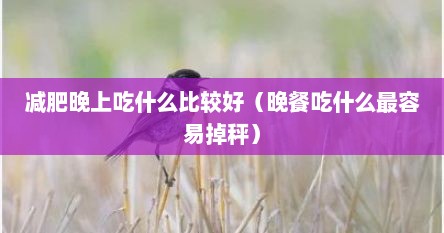 减肥晚上吃什么比较好（晚餐吃什么最容易掉秤）