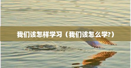 我们该怎样学习（我们该怎么学?）