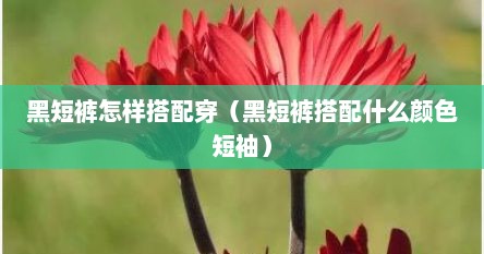 黑短裤怎样搭配穿（黑短裤搭配什么颜色短袖）
