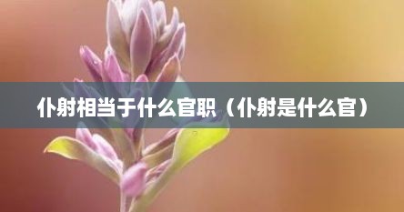 仆射相当于什么官职（仆射是什么官）
