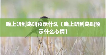 晚上听到鸟叫预示什么（晚上听到鸟叫预示什么心情）