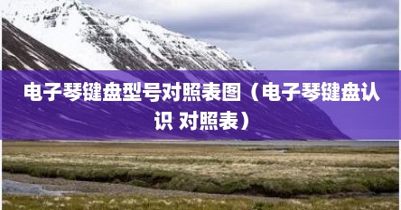 电子琴键盘型号对照表图（电子琴键盘认识 对照表）