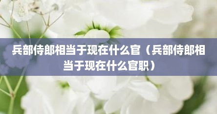 兵部侍郎相当于现在什么官（兵部侍郎相当于现在什么官职）