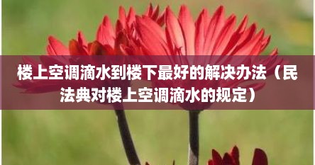 楼上空调滴水到楼下最好的解决办法（民法典对楼上空调滴水的规定）
