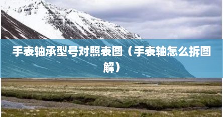 手表轴承型号对照表图（手表轴怎么拆图解）