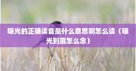 曝光的正确读音是什么意思啊怎么读（曝光到底怎么念）