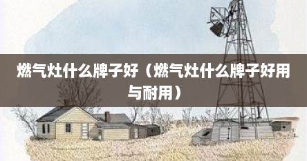 燃气灶什么牌子好（燃气灶什么牌子好用与耐用）
