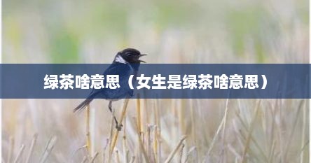 绿茶啥意思（女生是绿茶啥意思）