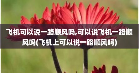飞机可以说一路顺风吗,可以说飞机一路顺风吗(飞机上可以说一路顺风吗)