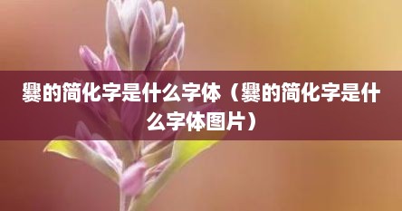 爨的简化字是什么字体（爨的简化字是什么字体图片）