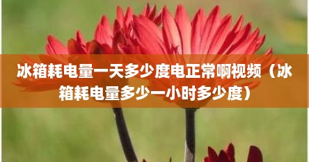 冰箱耗电量一天多少度电正常啊视频（冰箱耗电量多少一小时多少度）